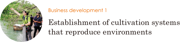 Business development 1 Establishment of cultivation systems that reproduce environments