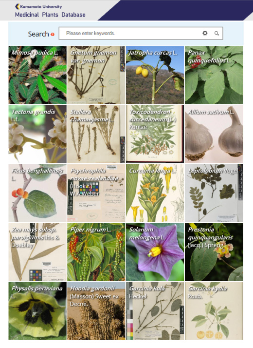 創薬指向型植物データベース